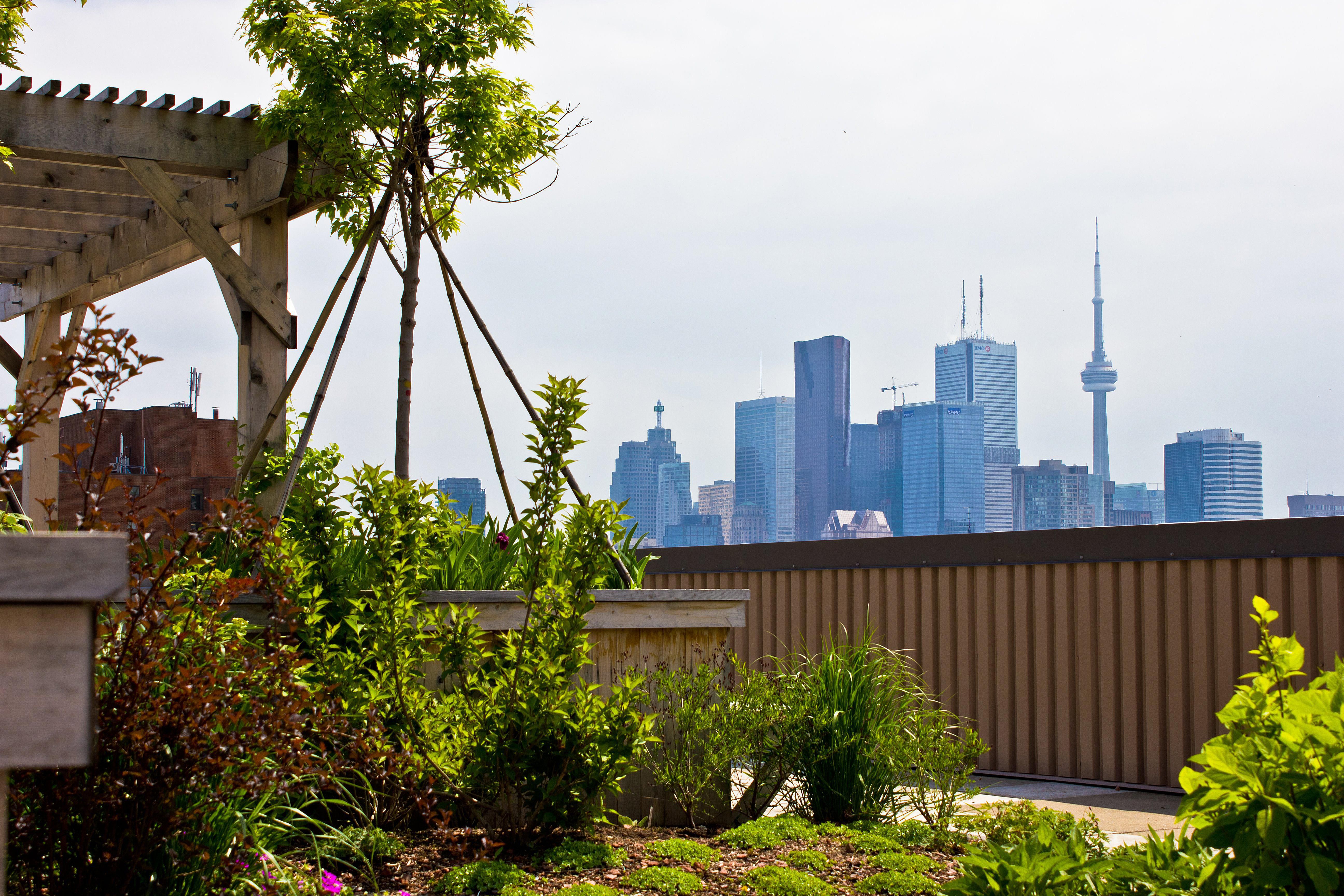 18 Things to Know About Toronto Before Moving Here