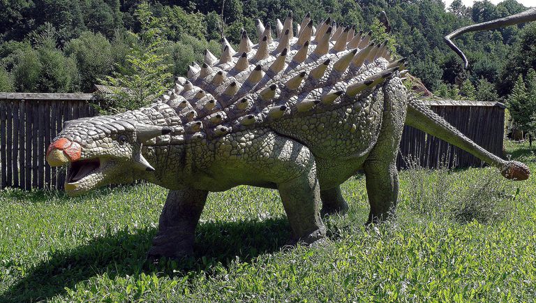 dinosaur similar to ankylosaurus