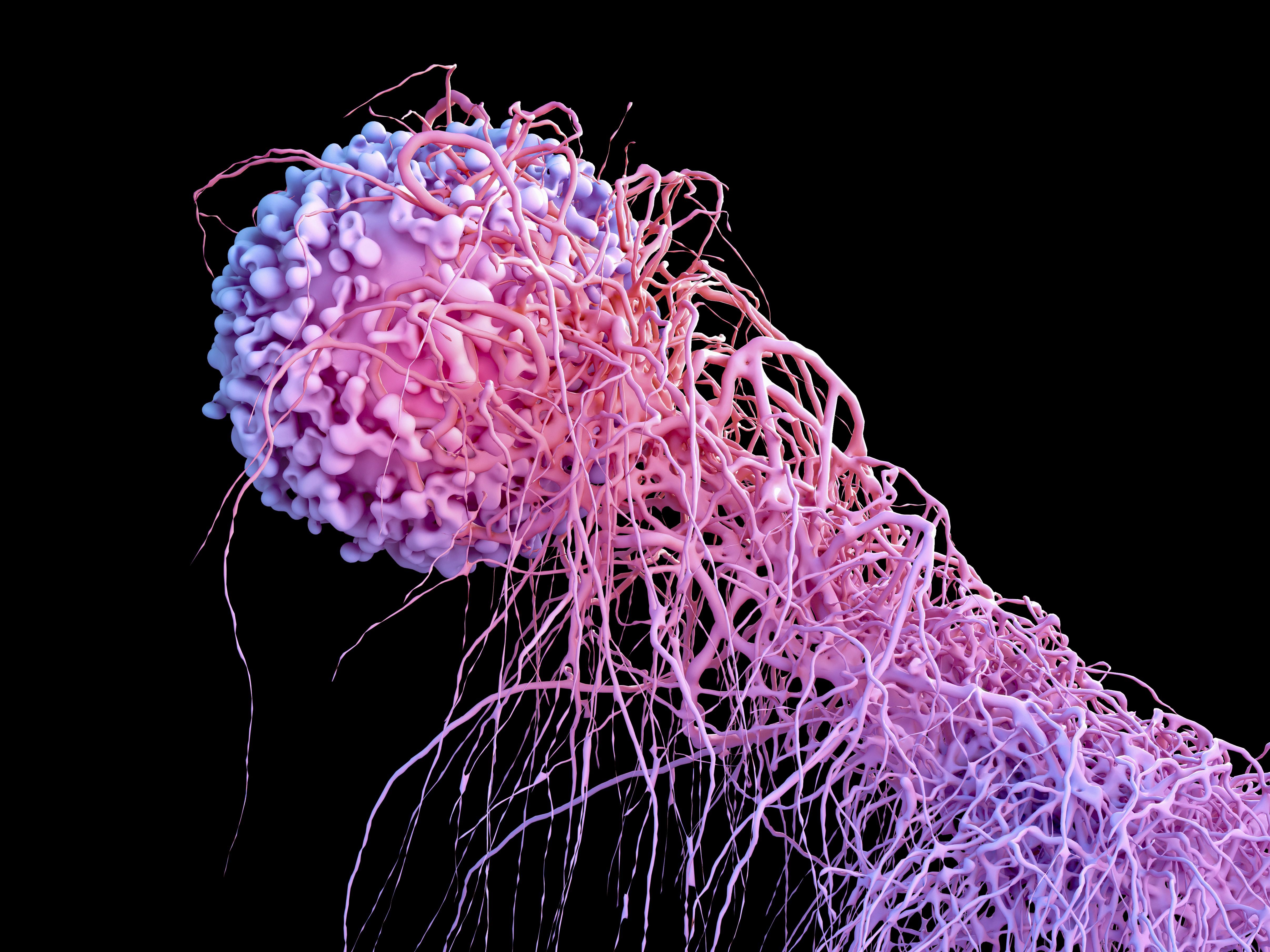 A Closer Look at the Top 5 Deadliest Cancers