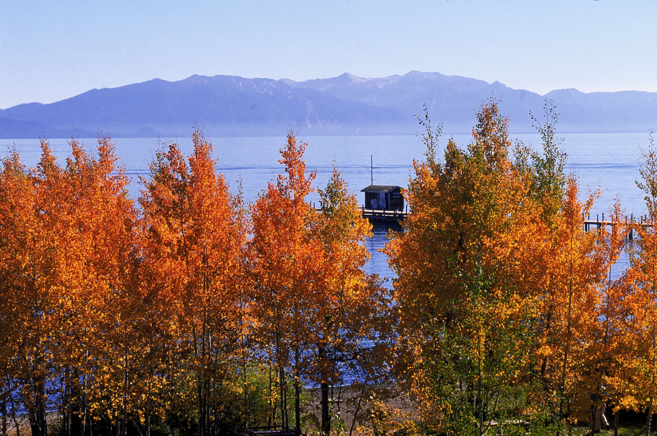 Where to See Fall Color in the Lake Tahoe Region