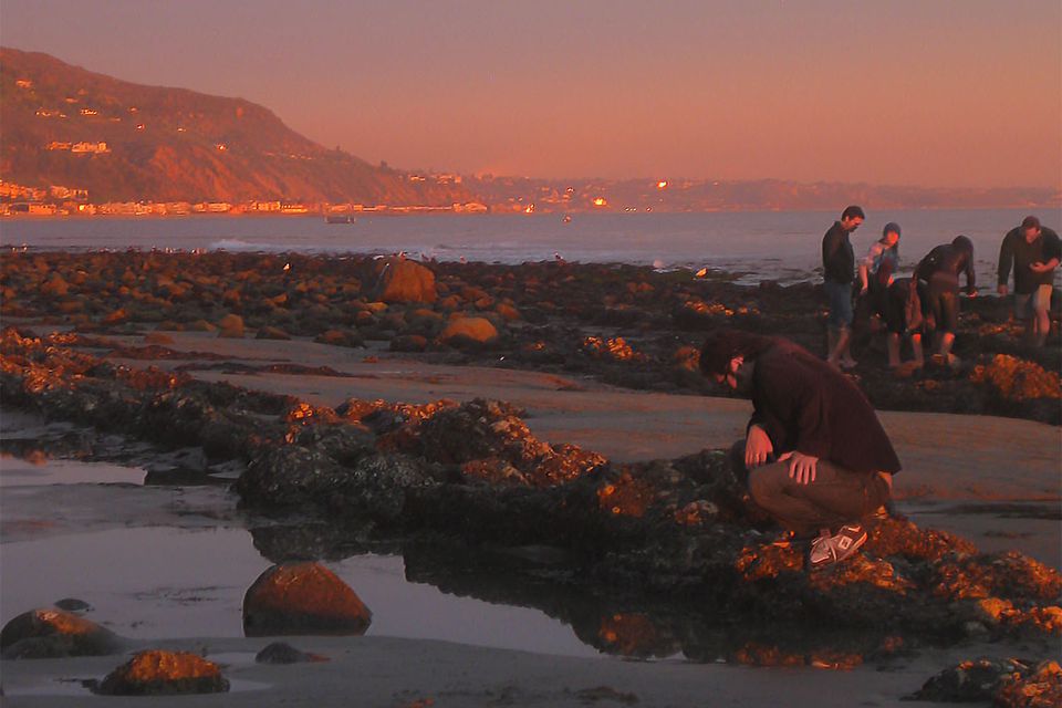 Top 10 Beaches In Los Angeles California