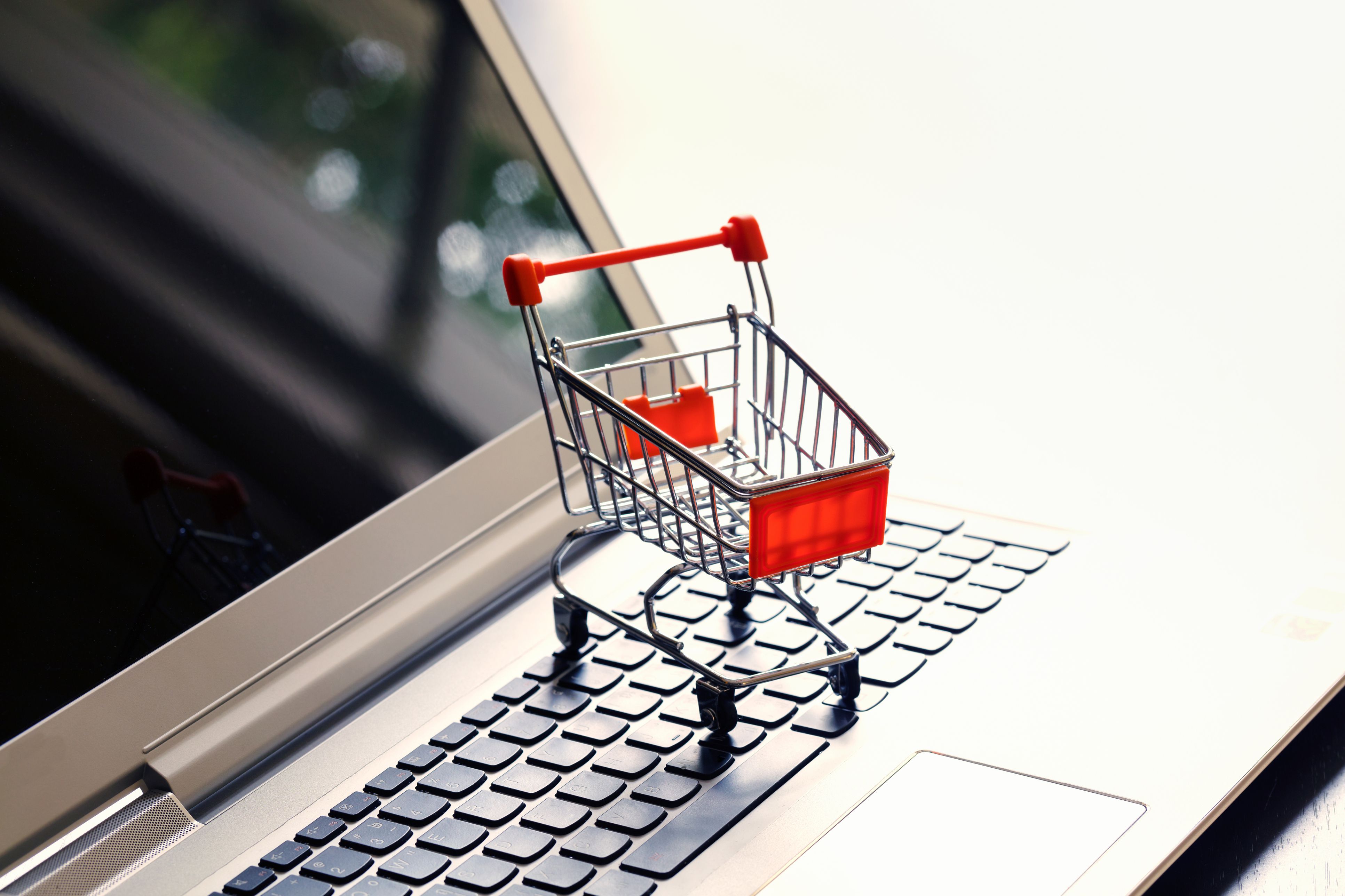 Learn About Using the eBay Shopping Cart