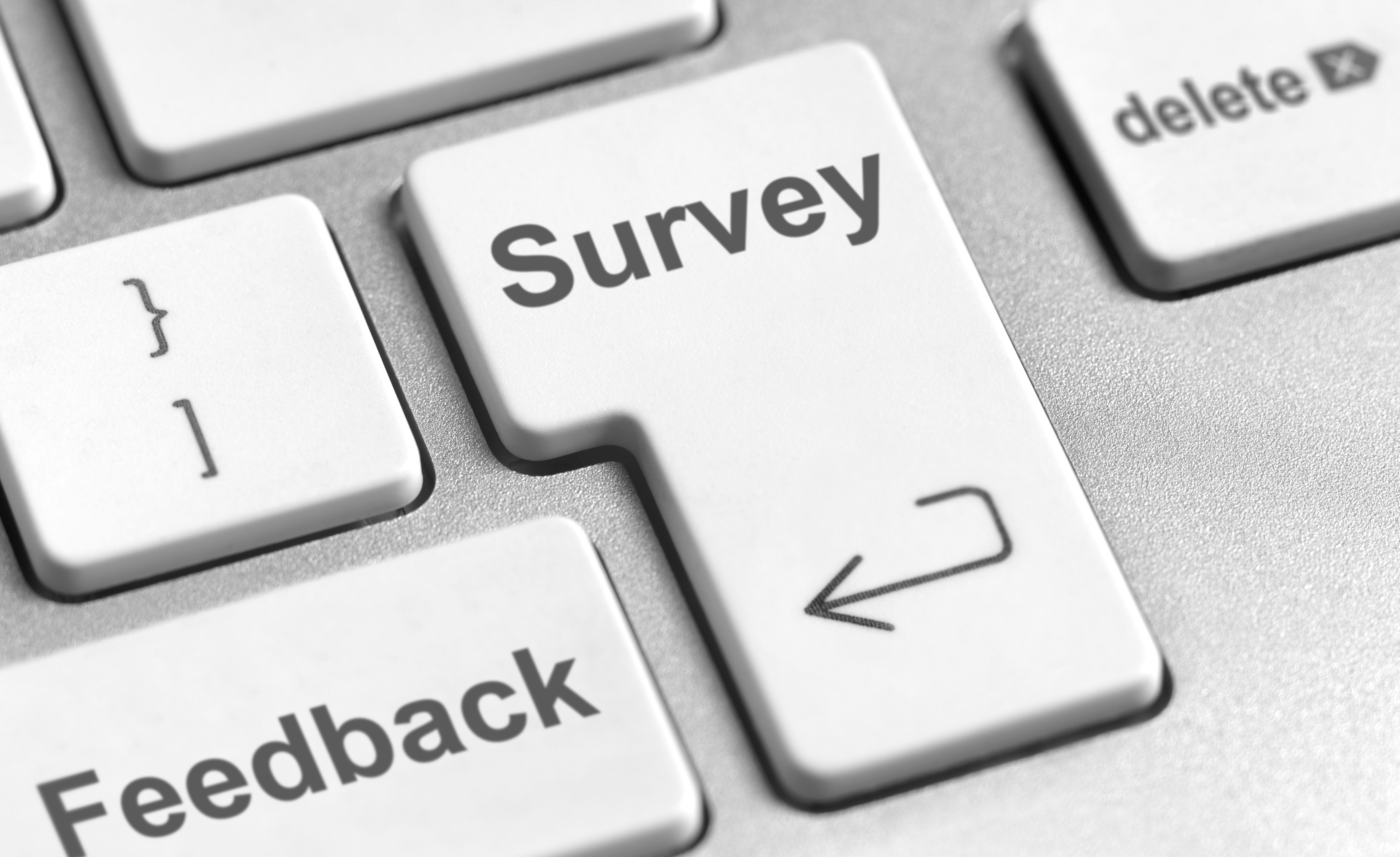 Top Survey Websites to Try Out