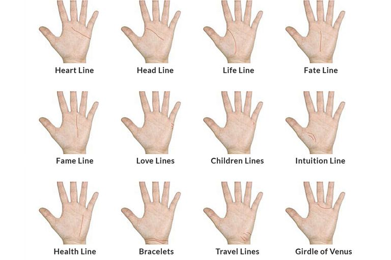 Palmistry Basics - Exploring Lines On Your Palm