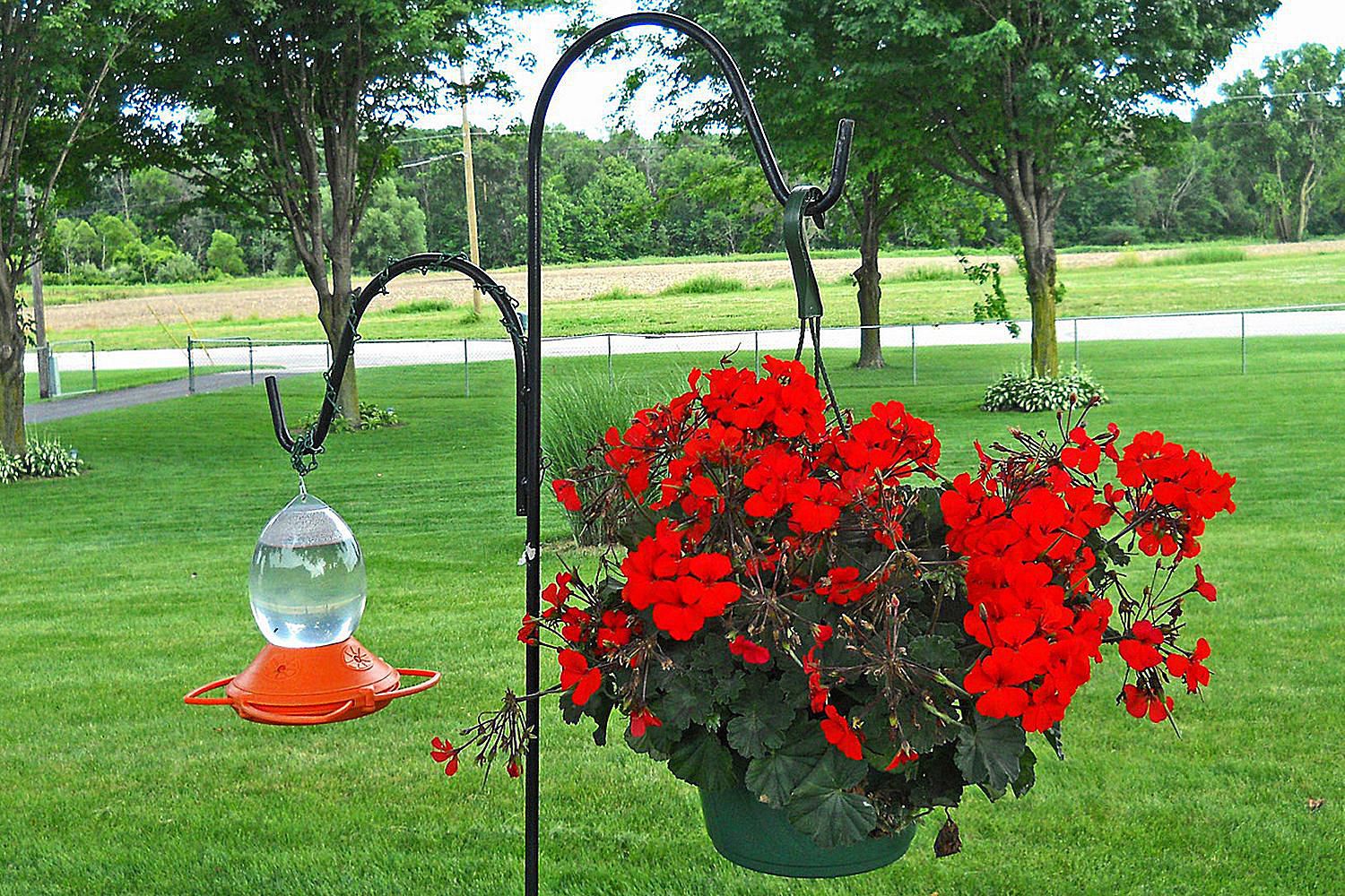 standing hummingbird feeder