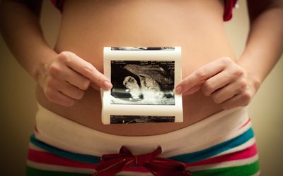Pregnancy by Week in Photos