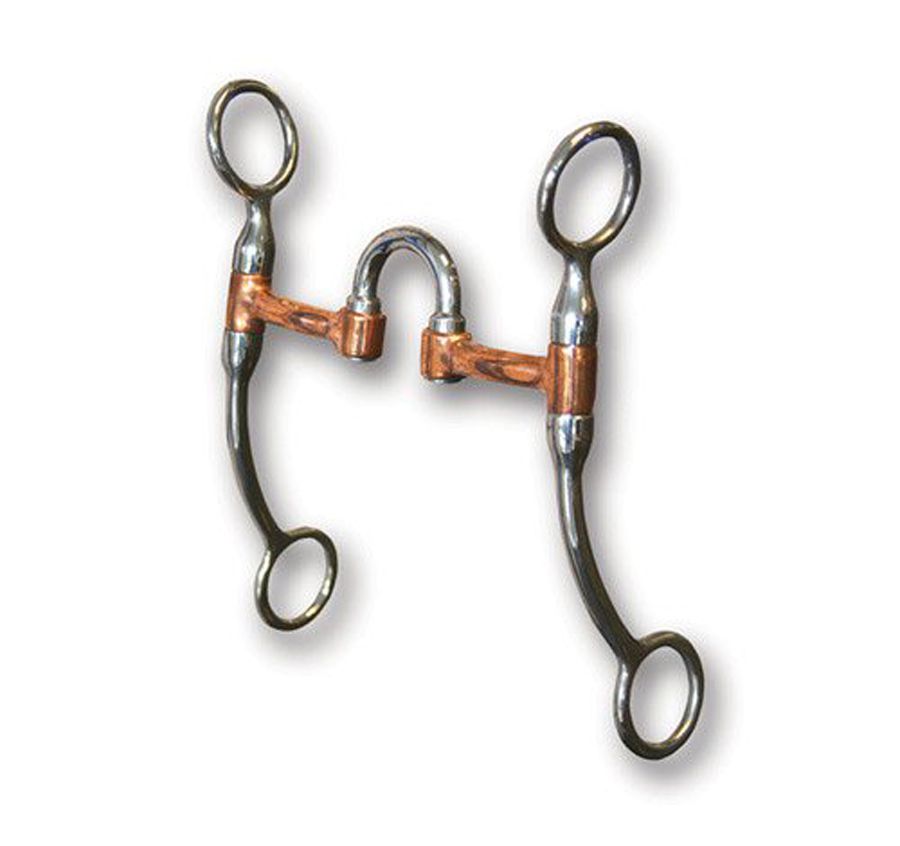 Six Common Western Horse Riding Bits