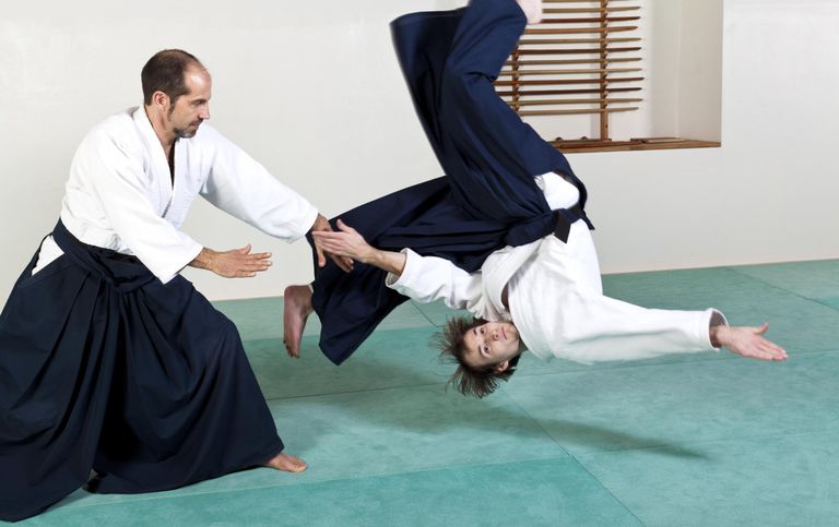 Image result for aikido