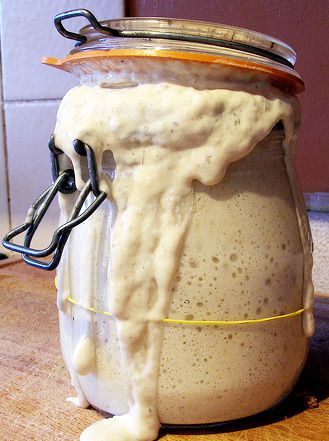 shortening fats glossary