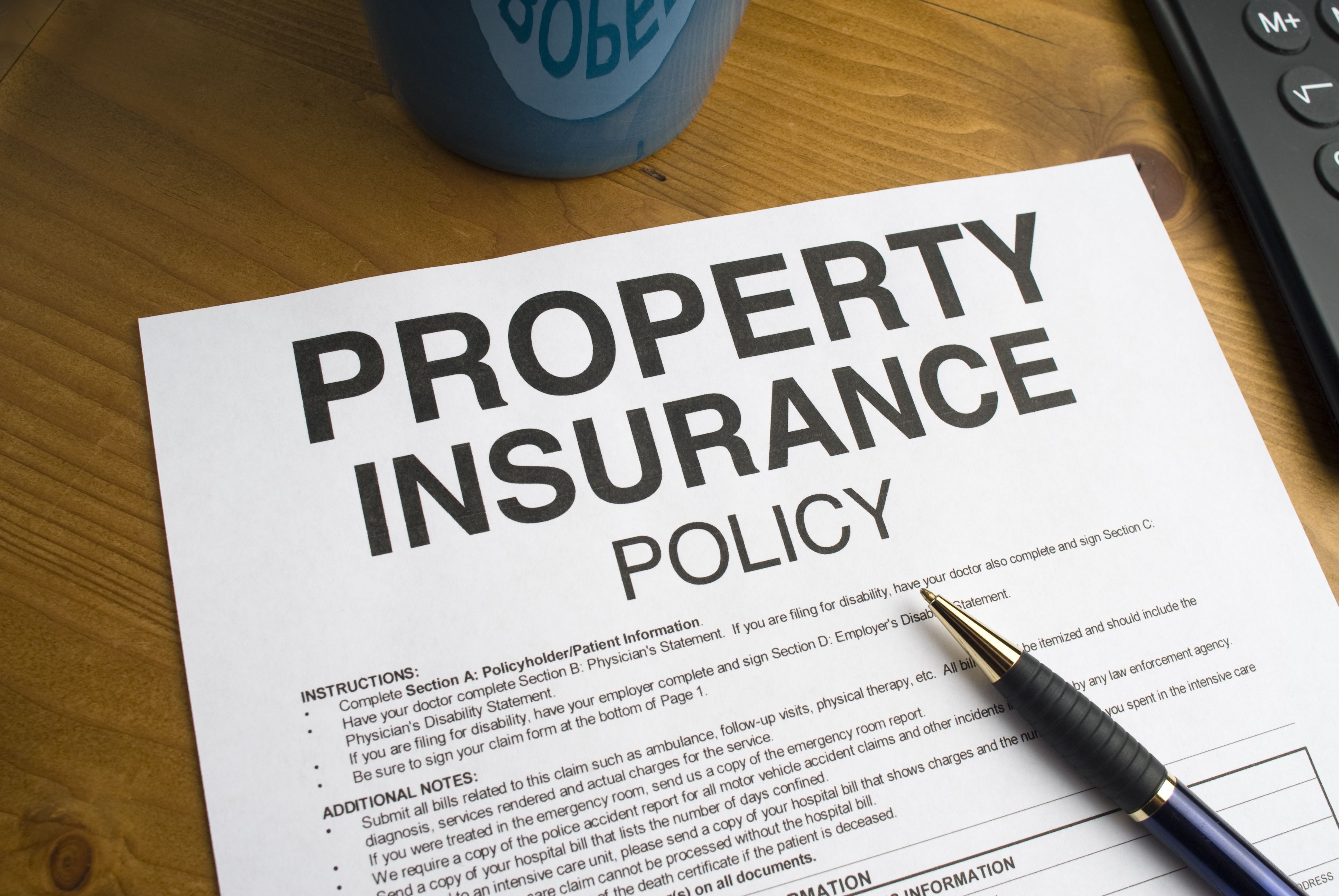 The Commercial Property Policy