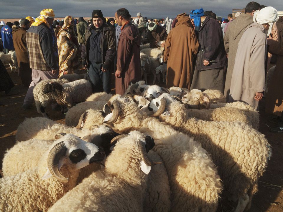 Eid Al-Adha Holiday in Morocco