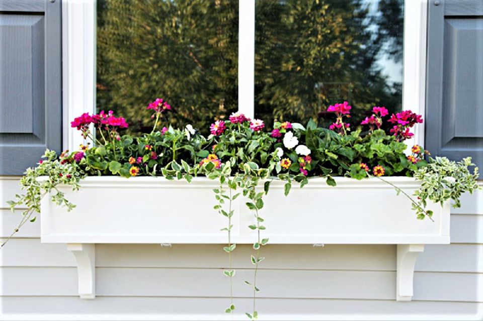 10 DIY Window Box Ideas