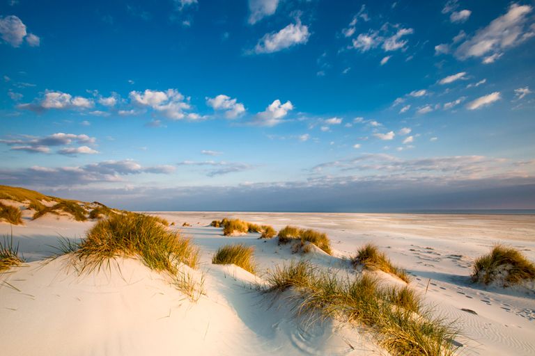 Coastal Sand Dunes