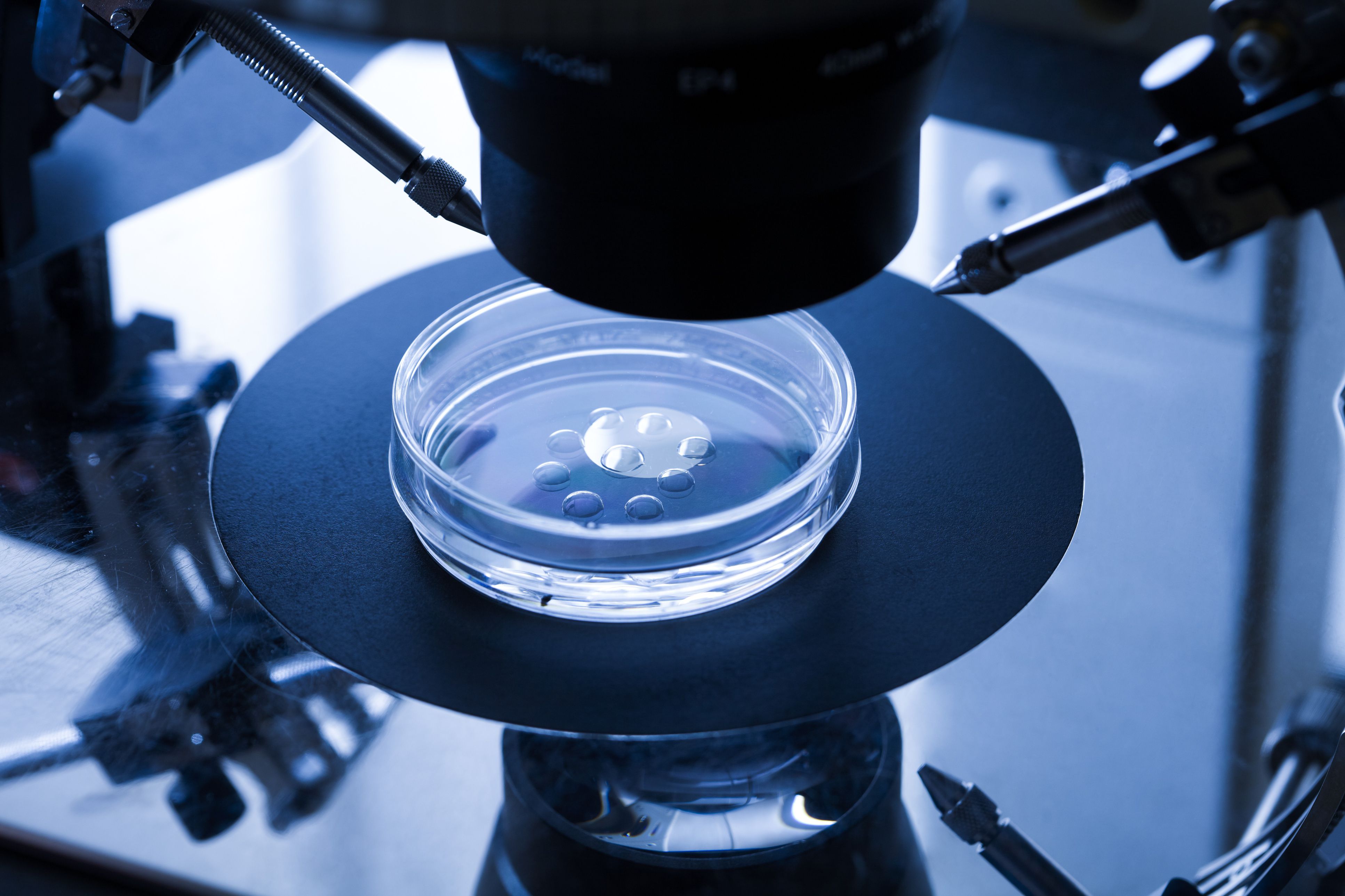 in-vitro-fertilization-and-test-tube-babies-a-history