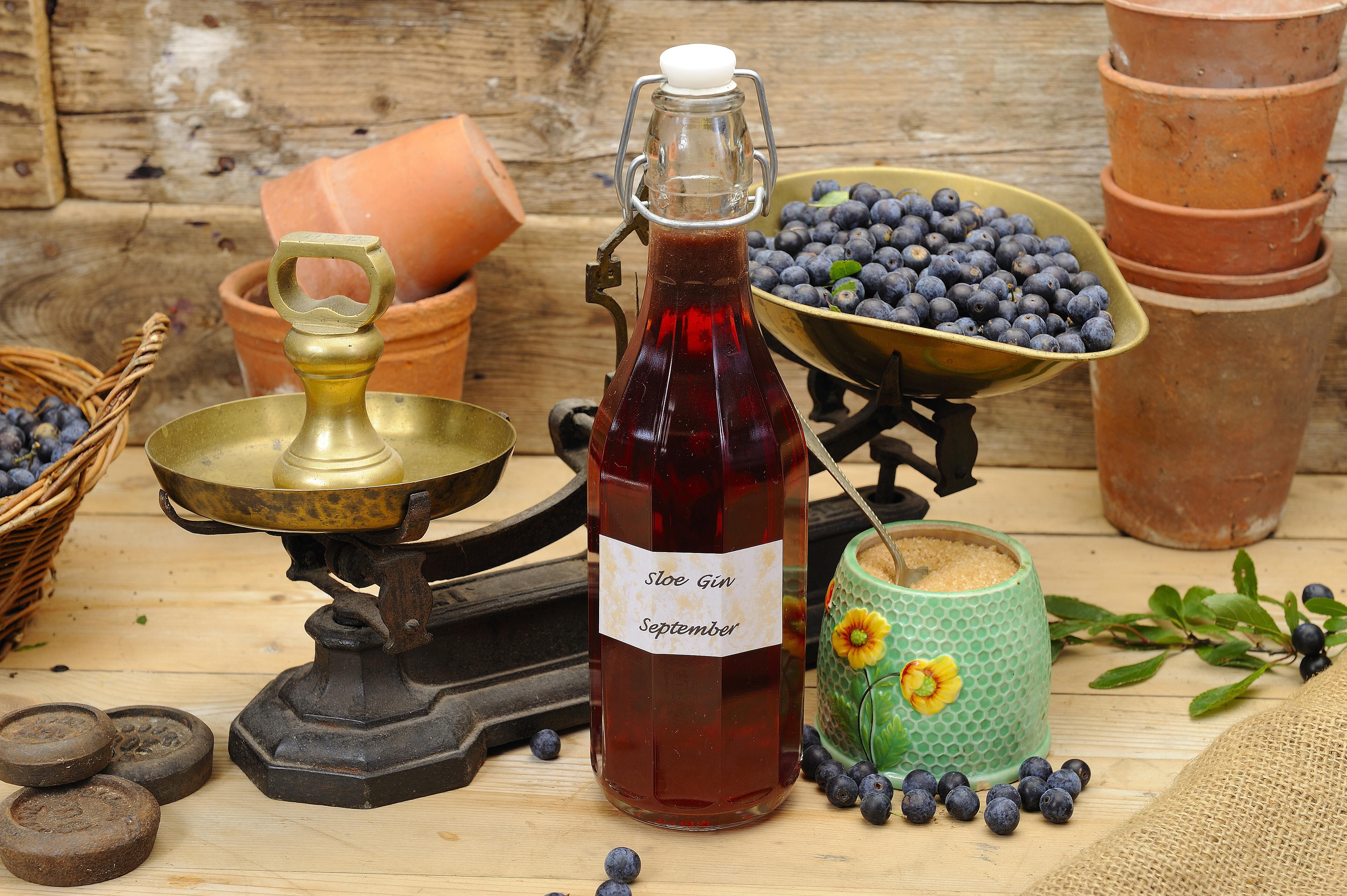 How to Make a Great Sloe Gin