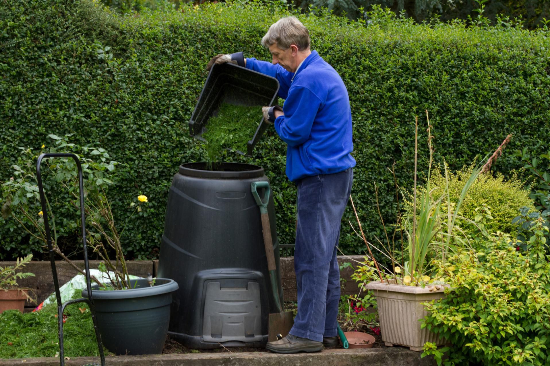 How to Keep Rats Out of Your Compost Bin
