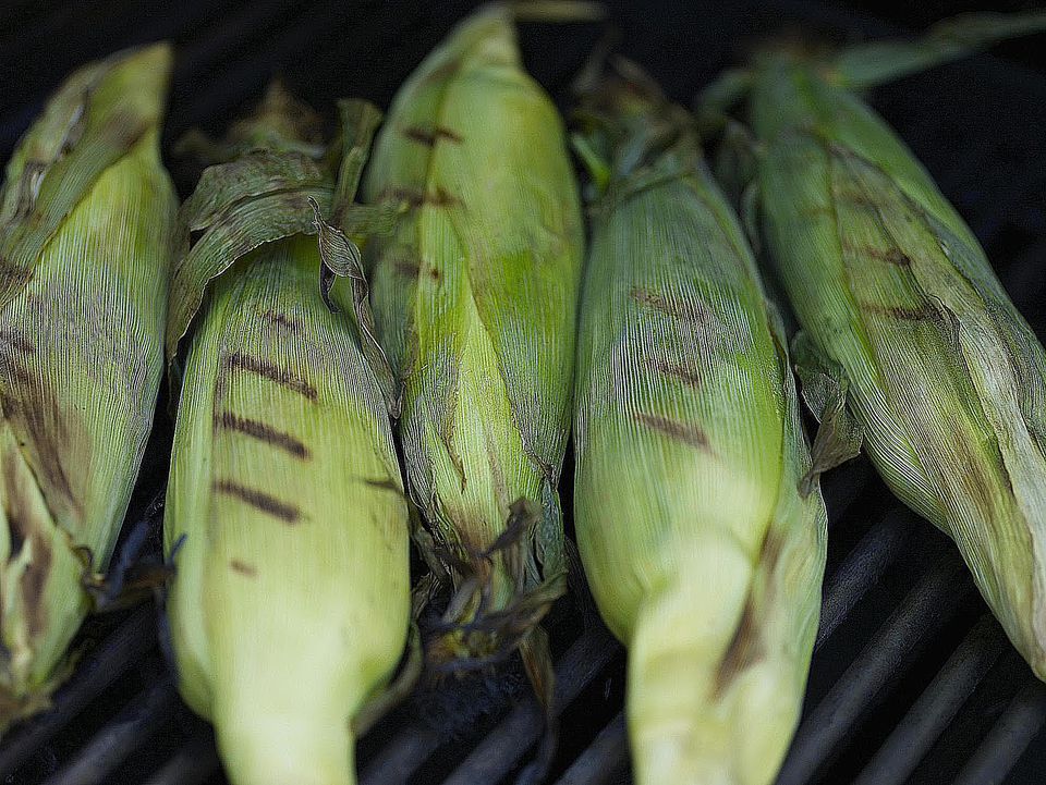 A Guide to Grilling Corn on the Cob to Perfection