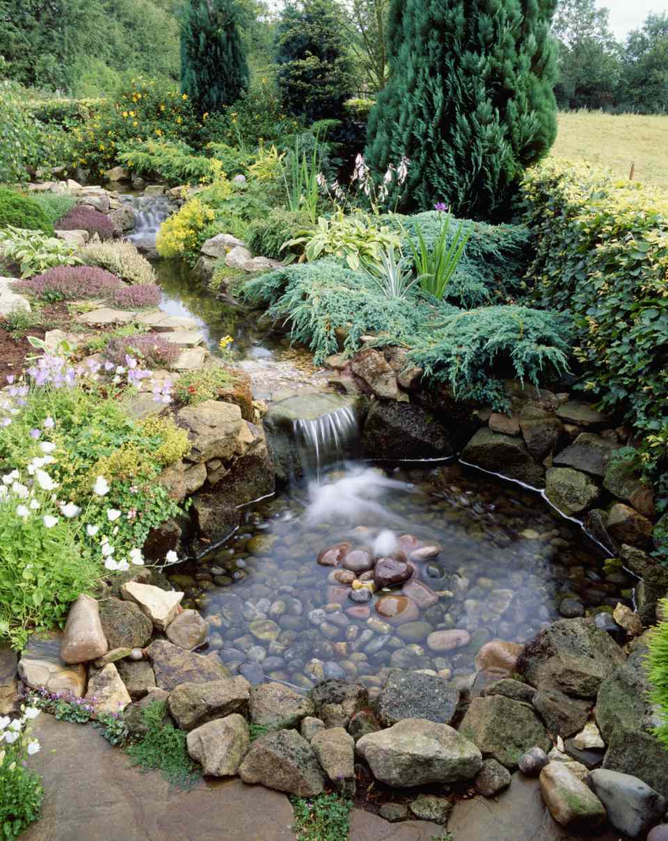 10 Best Garden Pond-Building Practices