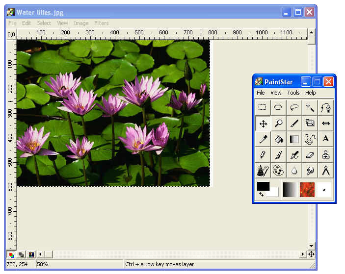 Screenshot of PaintStar in Windows XP