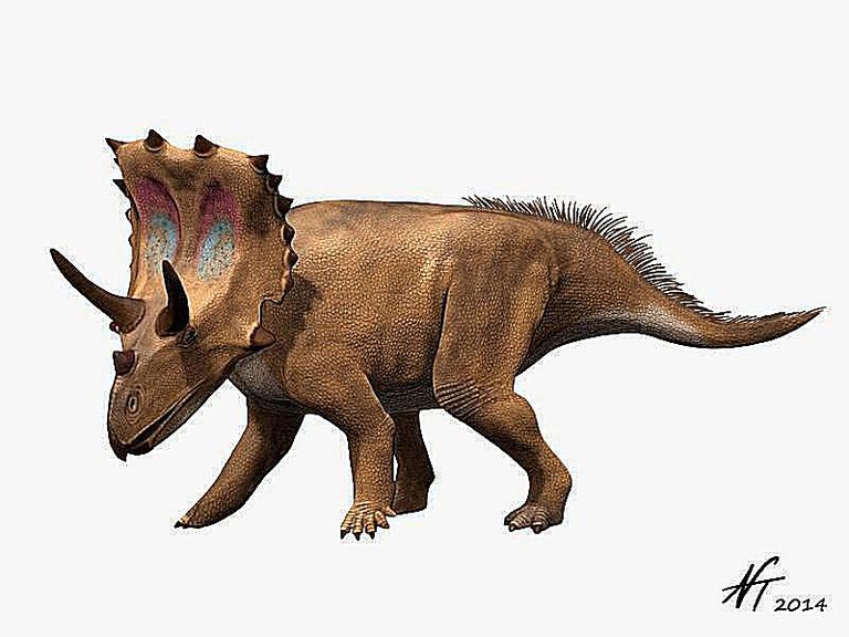 1 horned dinosaur