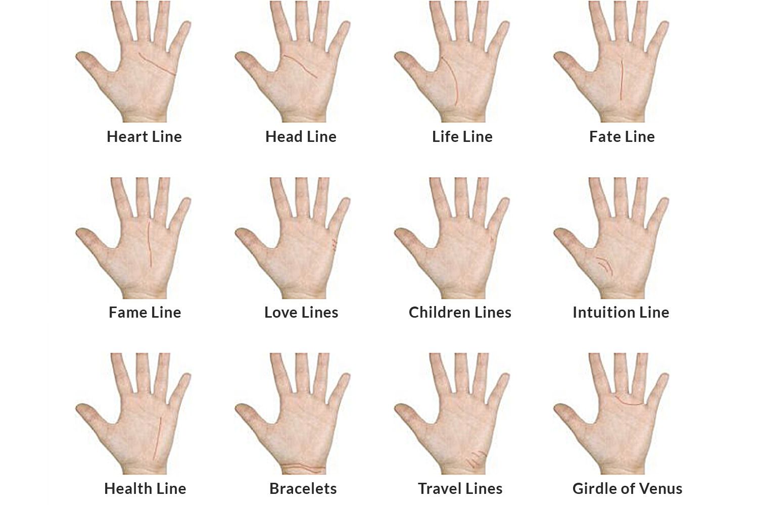 Palmistry Basics - Exploring Lines On Your Palm