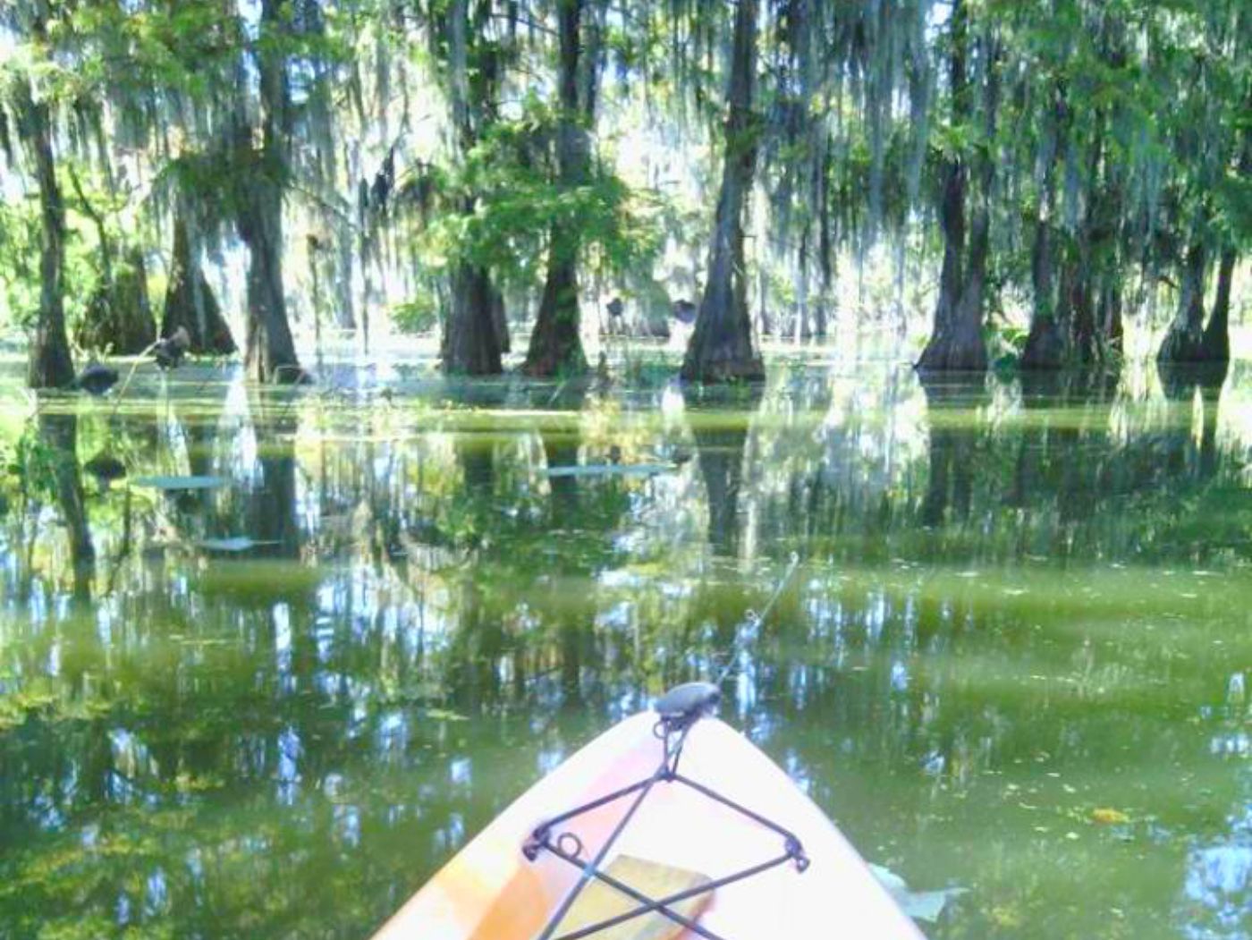 Places to Visit in Louisiana With Kids