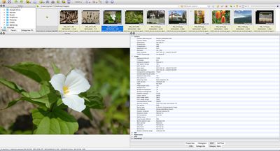 image editors easier than xnview mp