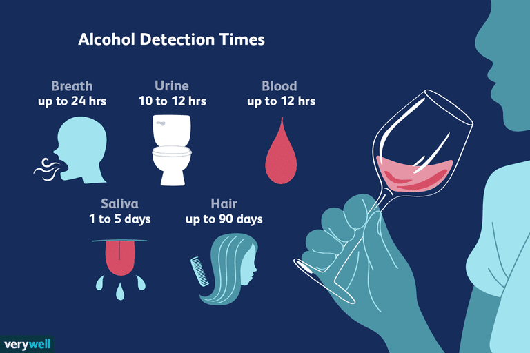 How Long Alcohol Stays In Your System 9748