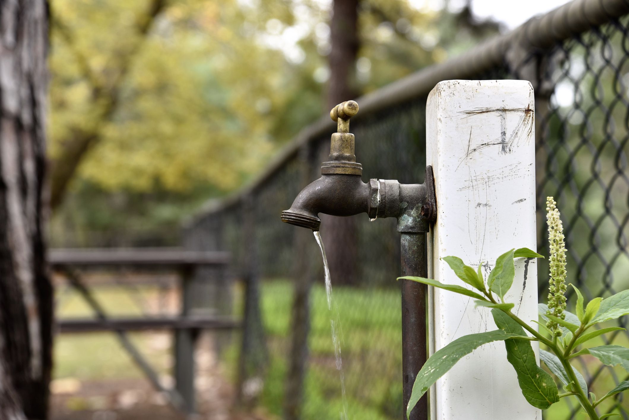 Installing Covers On Outdoor Water Spigots