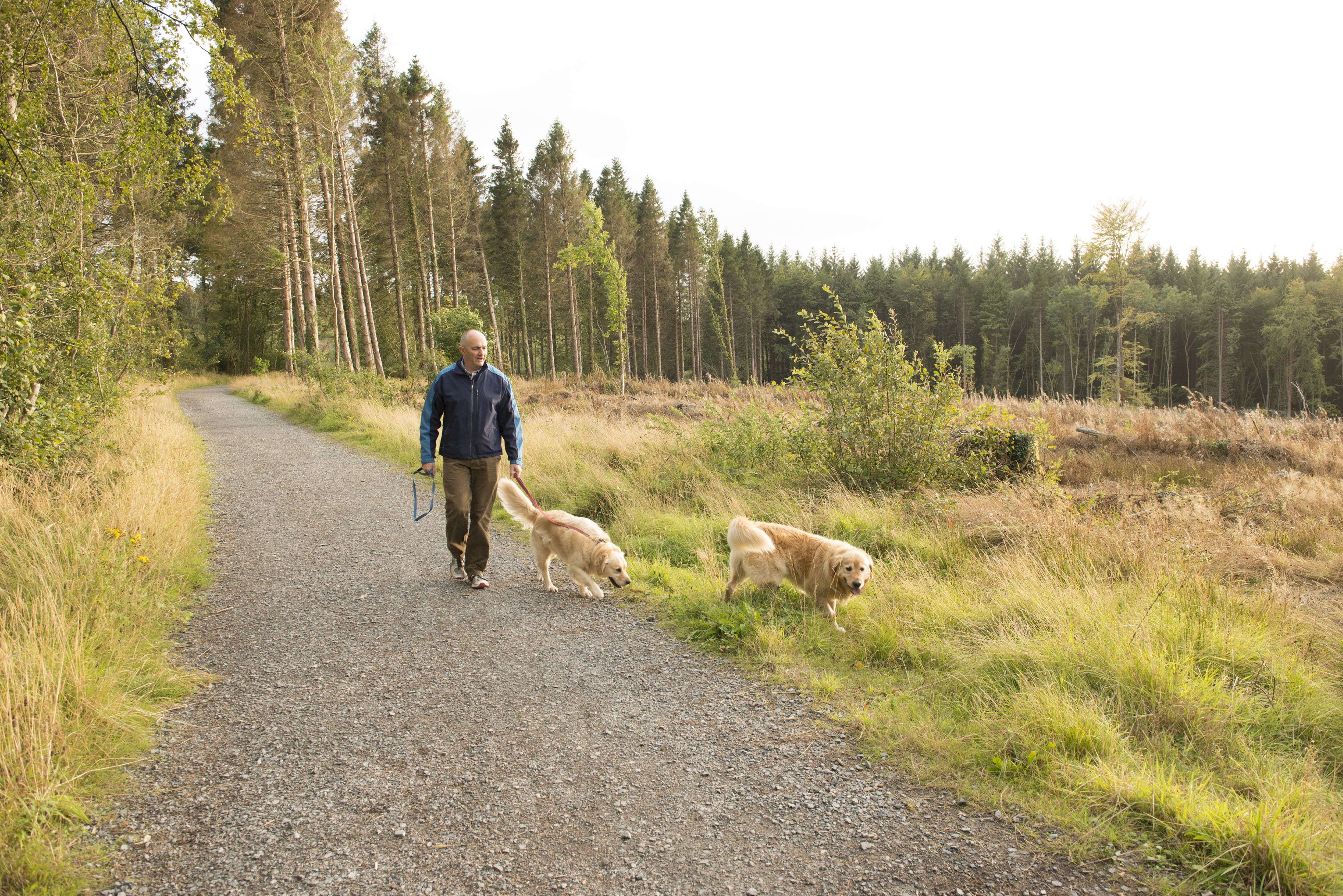 Men Should Walk 2 Miles per Day for Sexual Health