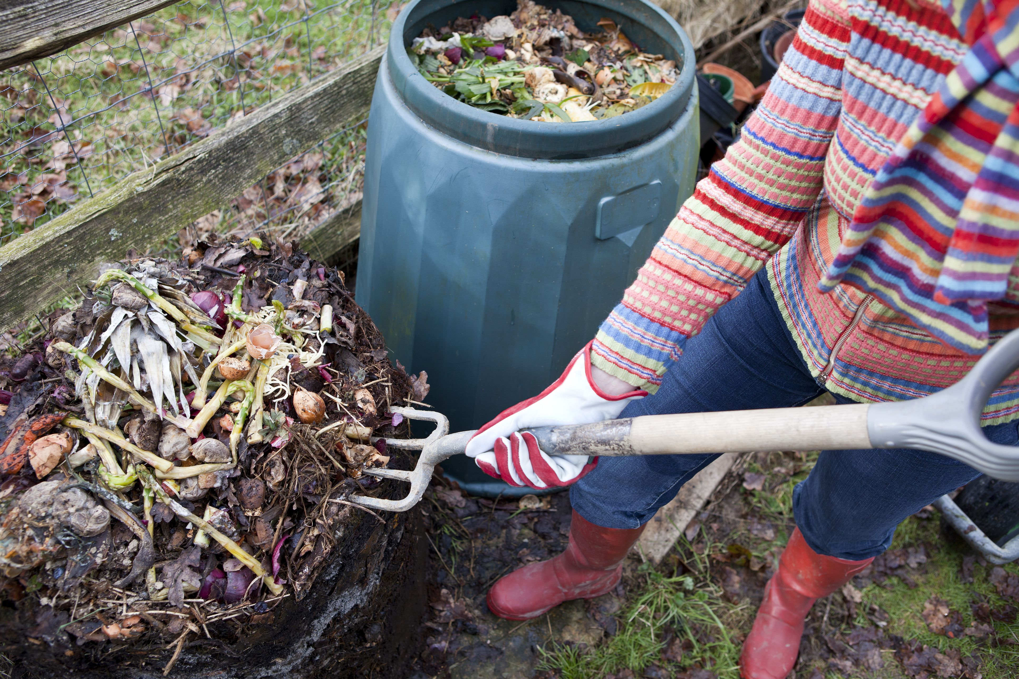 How to Compost | Composting Facts