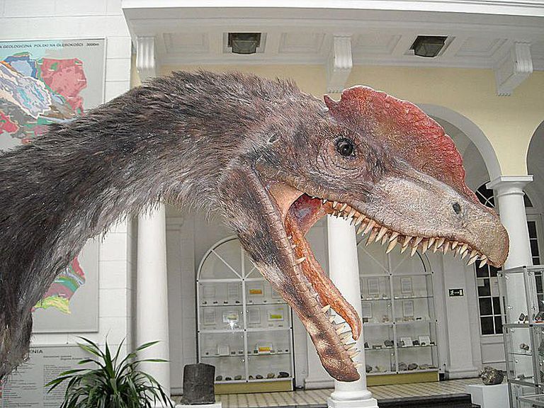 10 Facts About Dilophosaurus