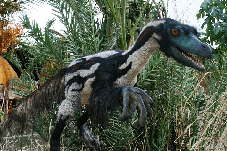 The 10 Most Important Dinosaur Facts