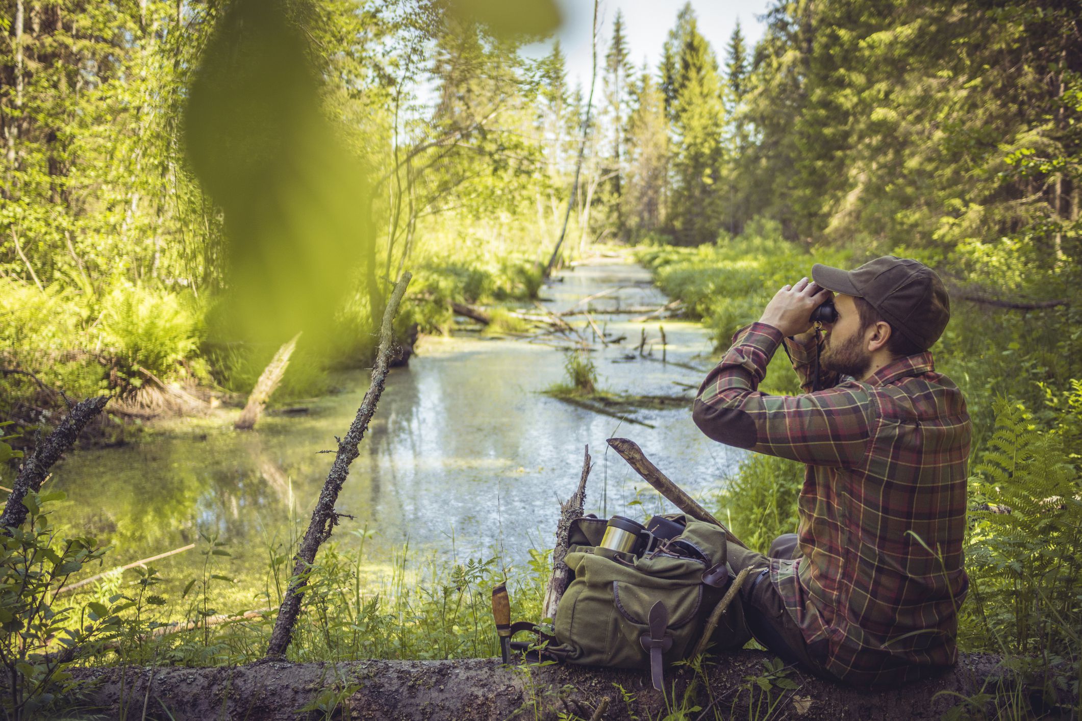 How to Choose a Field Bag for Birding