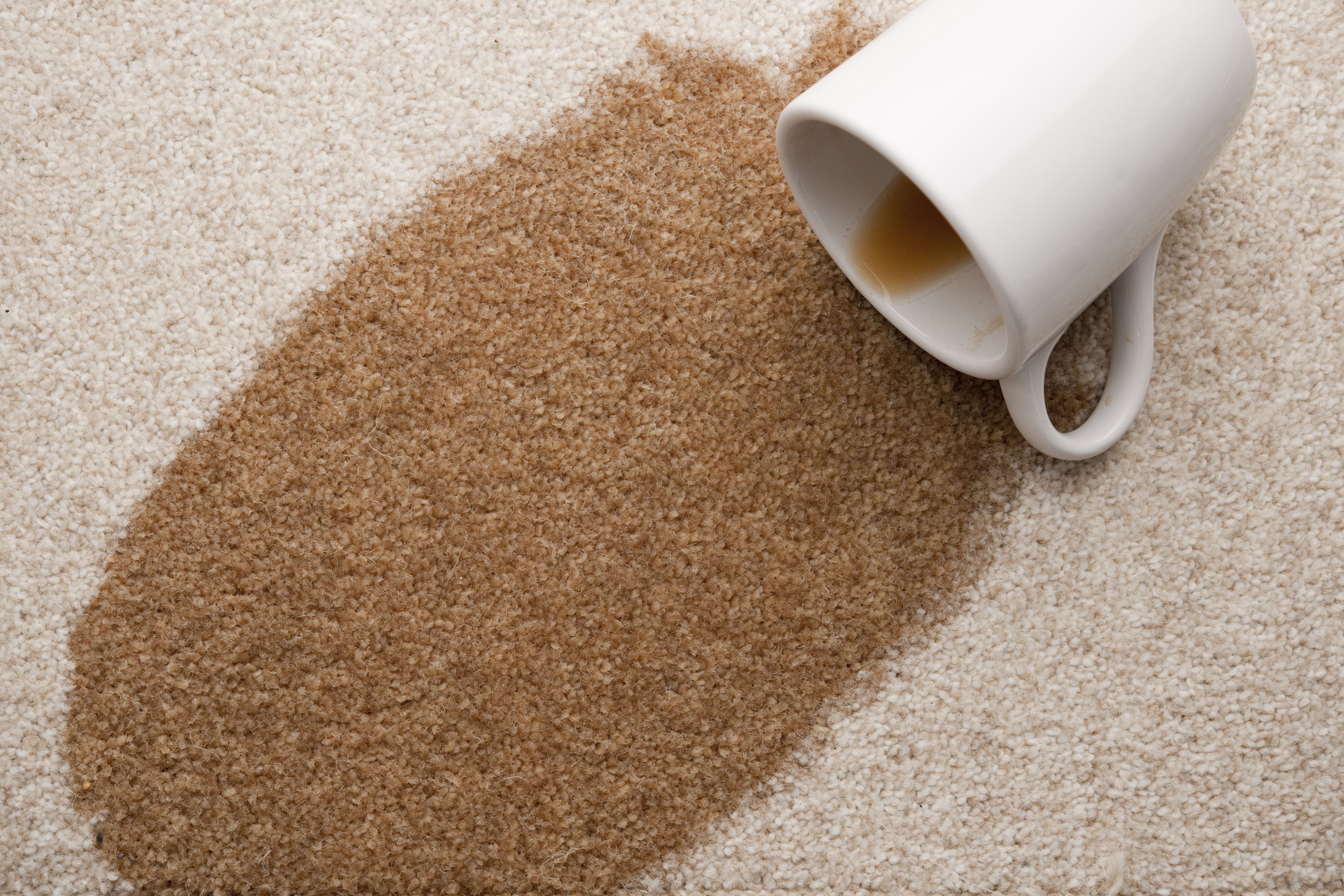 3 Easy Steps To Remove Coffee Stains From Carpet