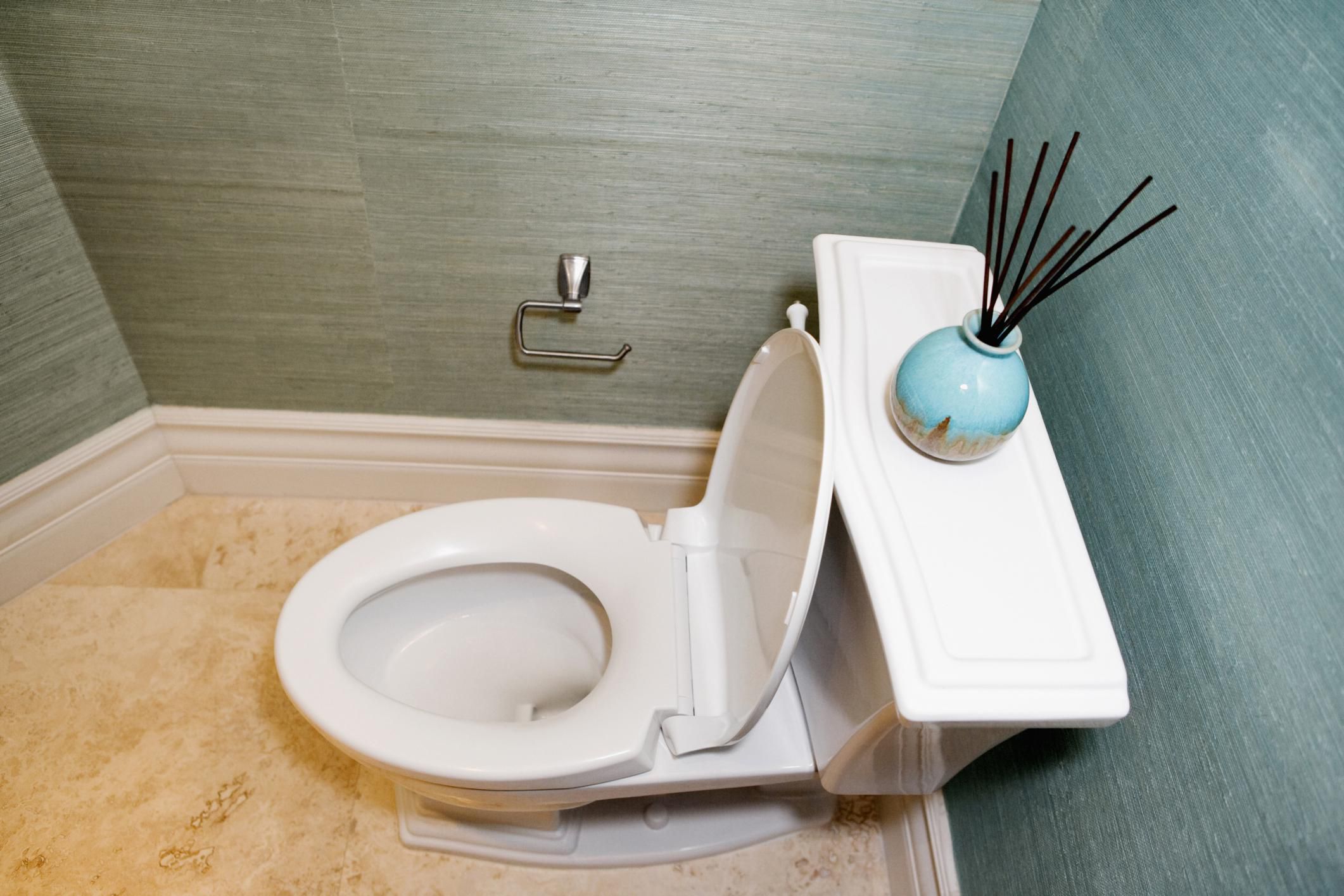 options-to-consider-when-buying-a-new-toilet