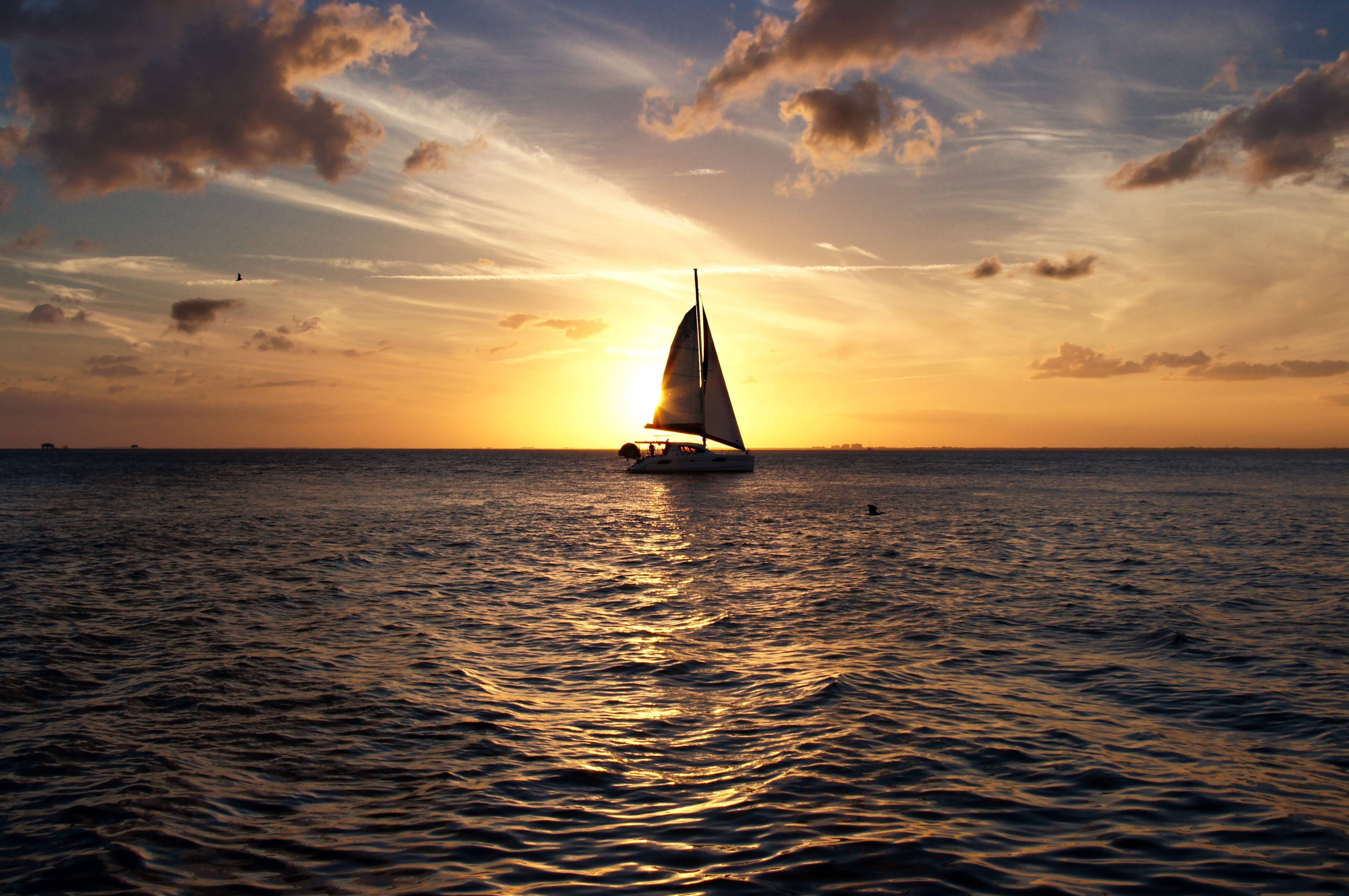 a sailboat on a lake sails 40