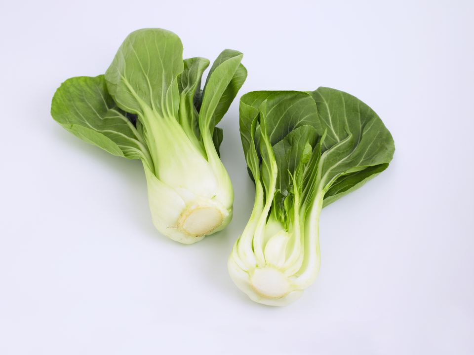 Chinese Vegetables Photo Gallery And Descriptions   Chinese Cabbage Or Bok Choy Brassica Rapa 599025214 57e9701c5f9b586c35b5430e 