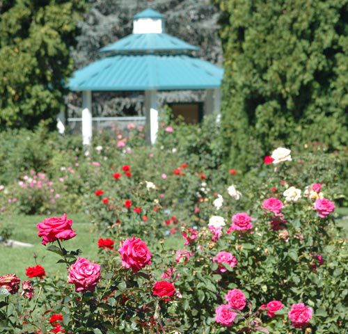 Rentable Park Shelters and Pavilions in Washoe County