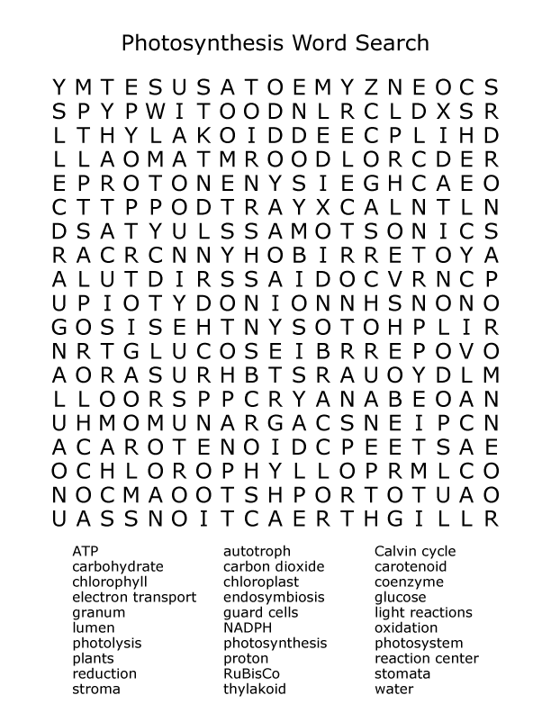 Photosynthesis Word Search Puzzle