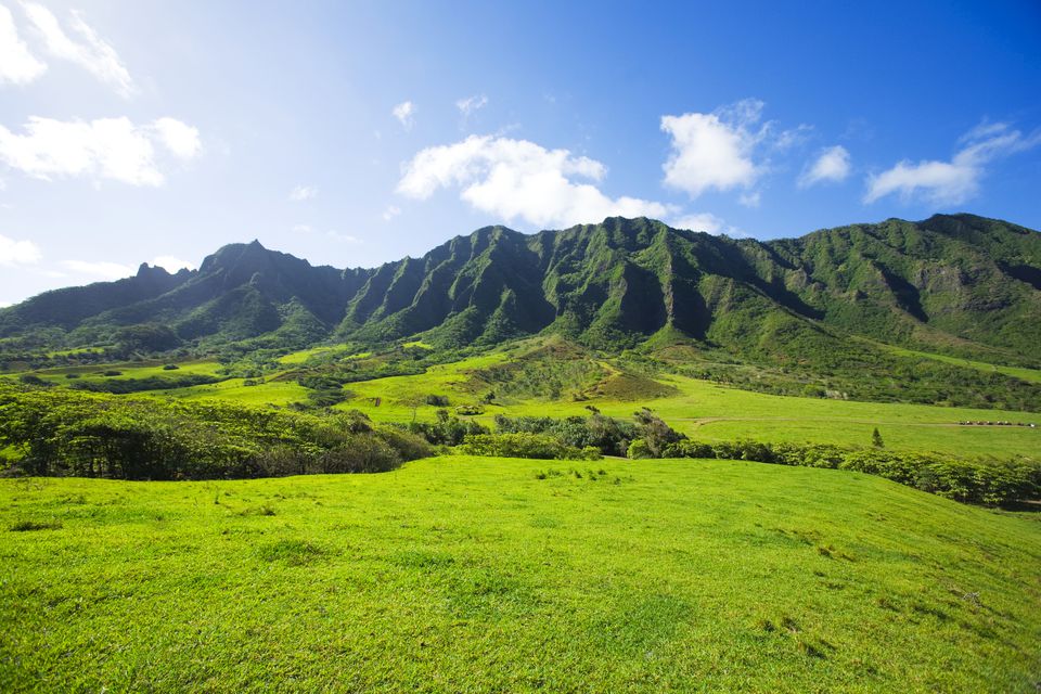 Eros Oahu