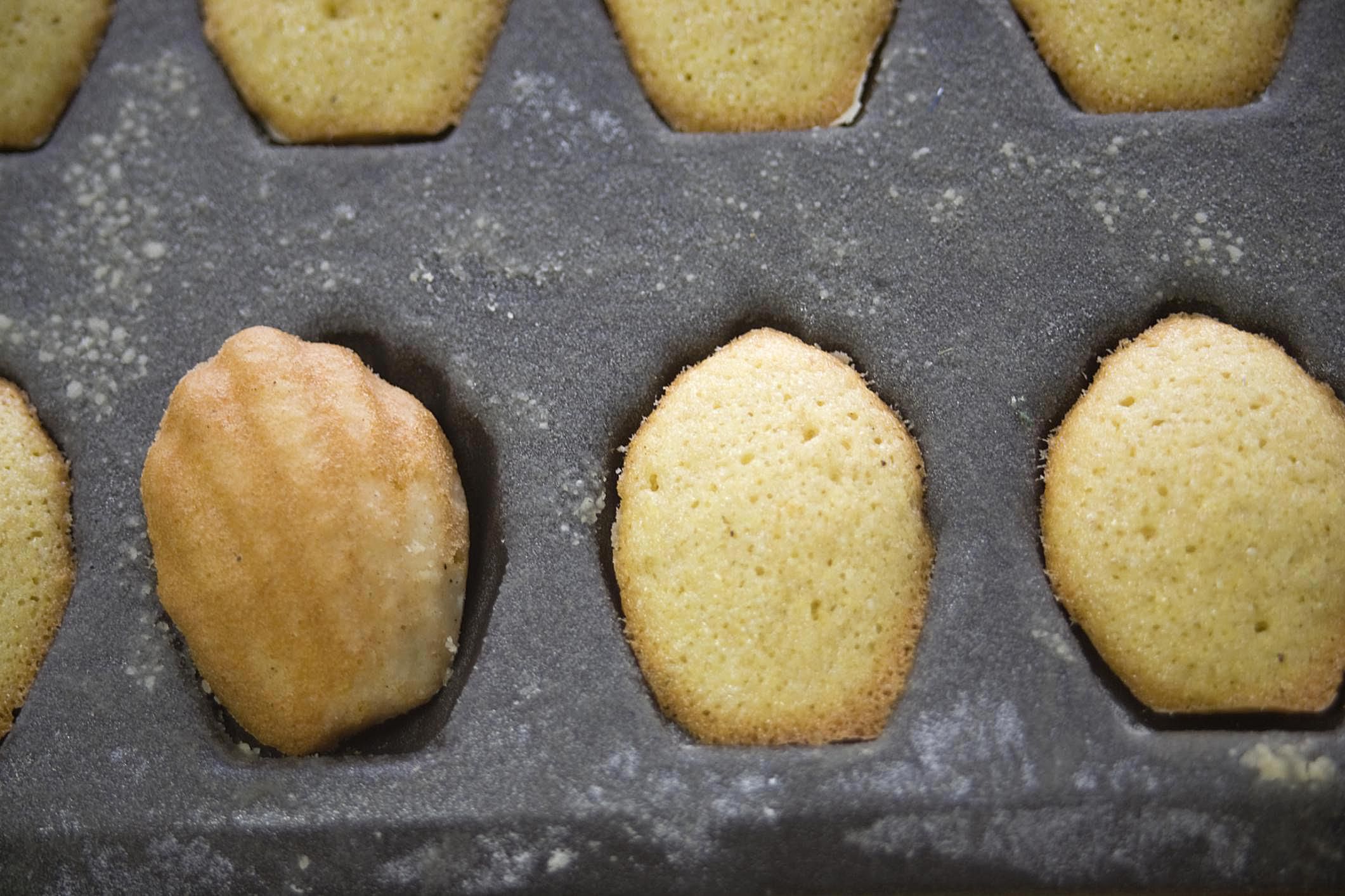 French Madeleine Butter Cookies Recipe