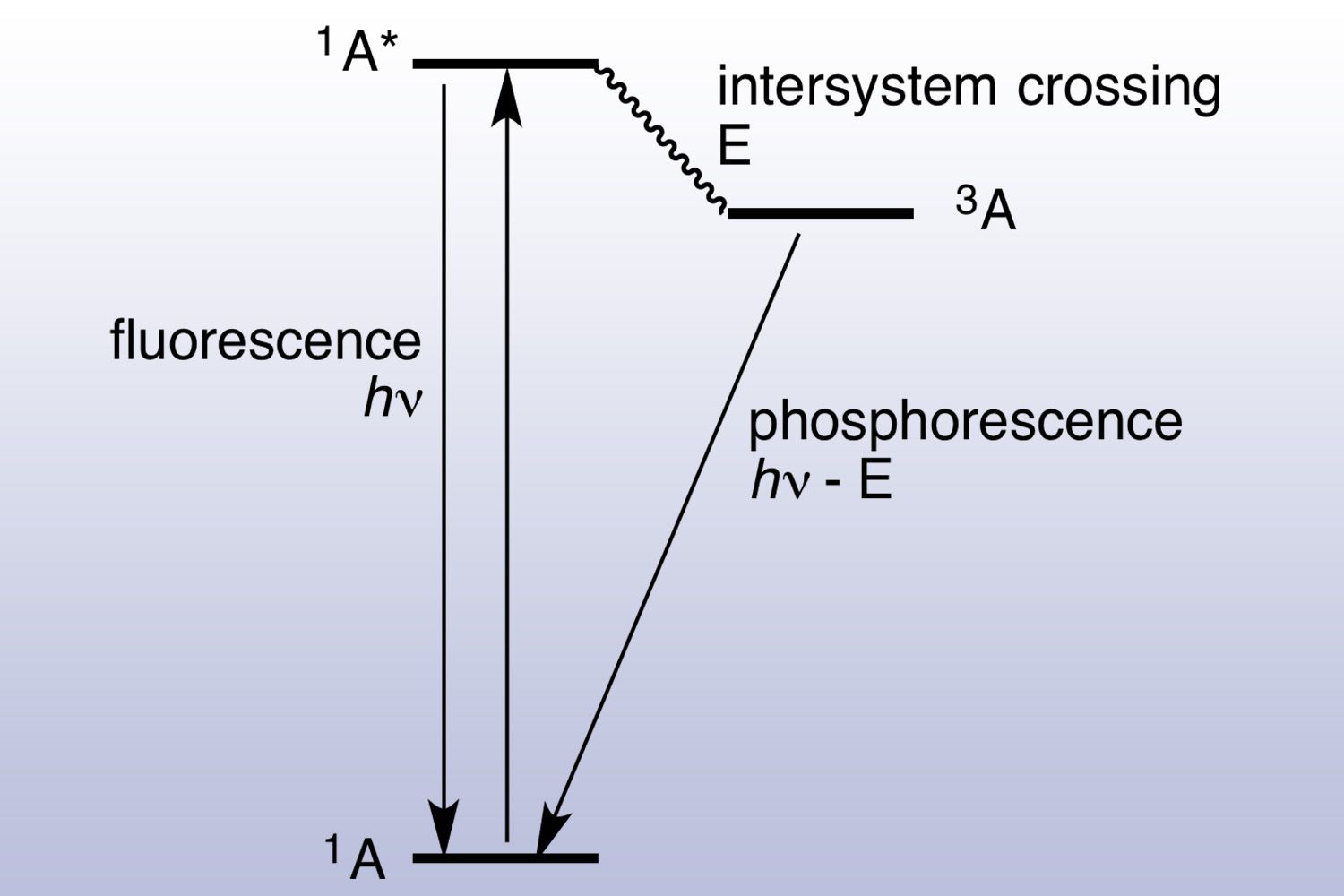 Jablonski Diagram For Fluorescence