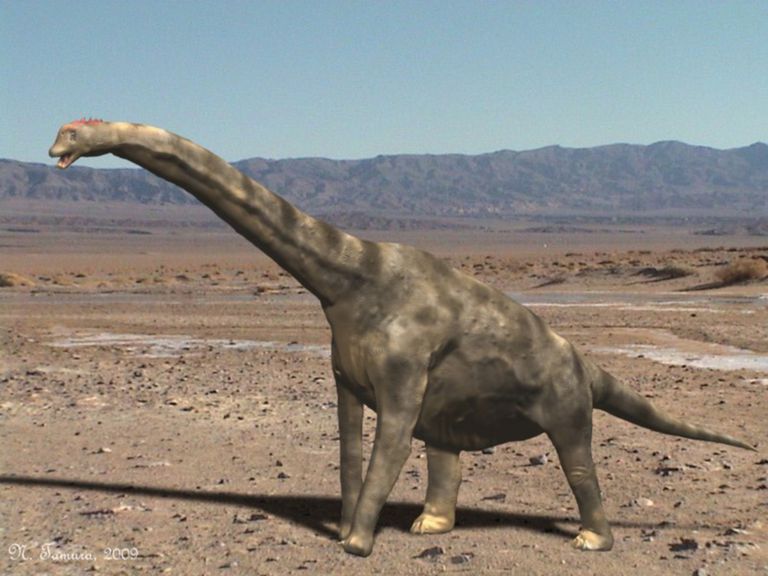 brachiosaurus herbivore dinosaurs