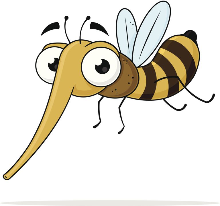 Mosquito.jpg