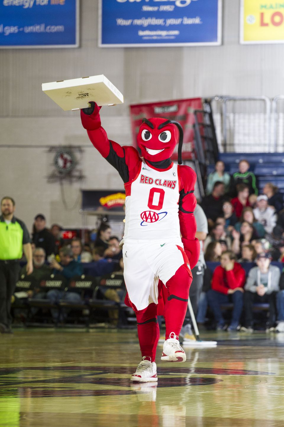 Maine Red Claws Mascot