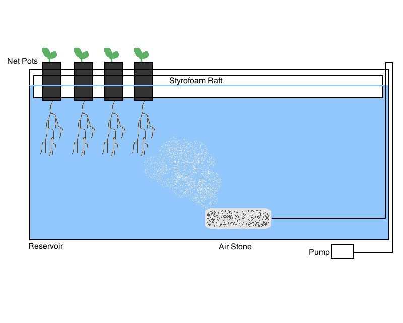 Illustration of a Lettuce Raft System