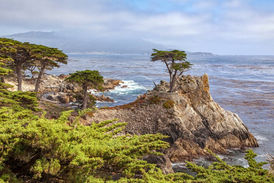 17-Mile Drive - Must-Do Stops and Proven Tips