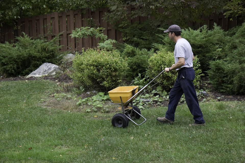 landscaper fertilizes a lawn 185085597 59f8b04c0d327a0010884814