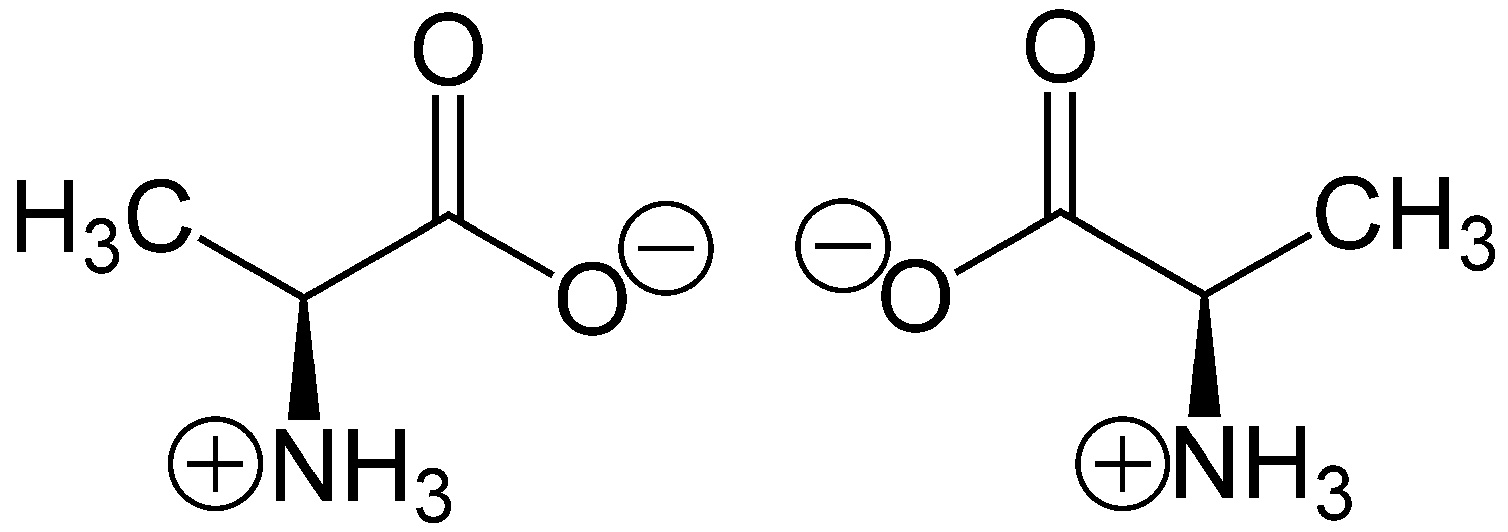 How Amino Acid Chirality Works